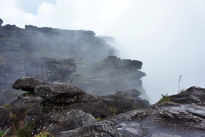 A dramatic view of a tepui's vertical stone walls rising out of the mist