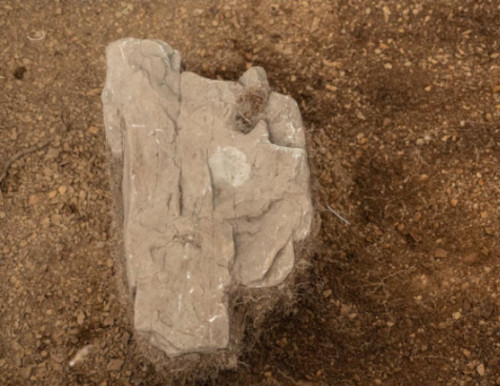 Foundation stone from the colony's church