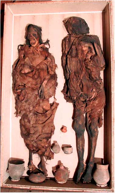 The “Delémont man” (right) and the “Delémont woman” (left)—overview of the two mummies in their repository case. (Begerock et al. 2022/ Frontiers in Medicine)