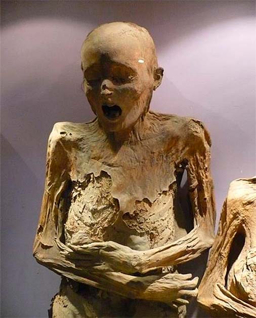 A mummy found in the Mummy Museum in Guanajuato, Mexico. (Public Domain)