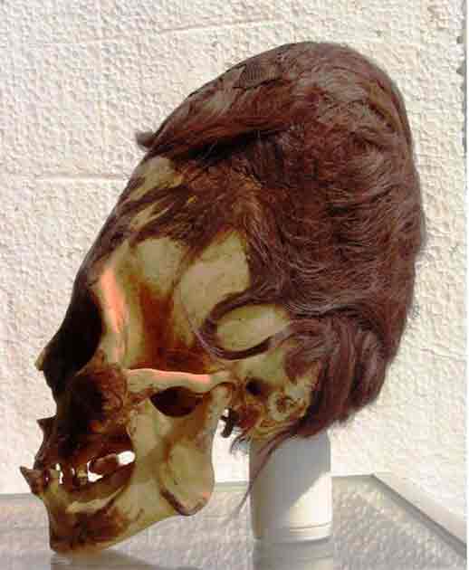 A Paracas skull with its red hair. ( Brien Foerster)