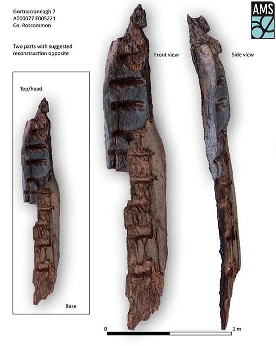 Front and side profile of the wooden idol. (AMS/Rathcroghan Visitor Centre)