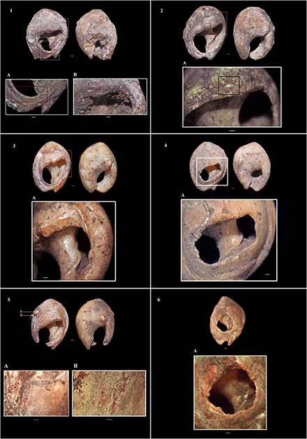 Fig. 6 from the study showing photographs of Aterian sea snail shell beads from layer 4c at the Moroccan cave dig site. These beads are now considered to be the world’s oldest jewelry pieces. (A. Bouzouggar, INSAP, Morocco / Science Advances)