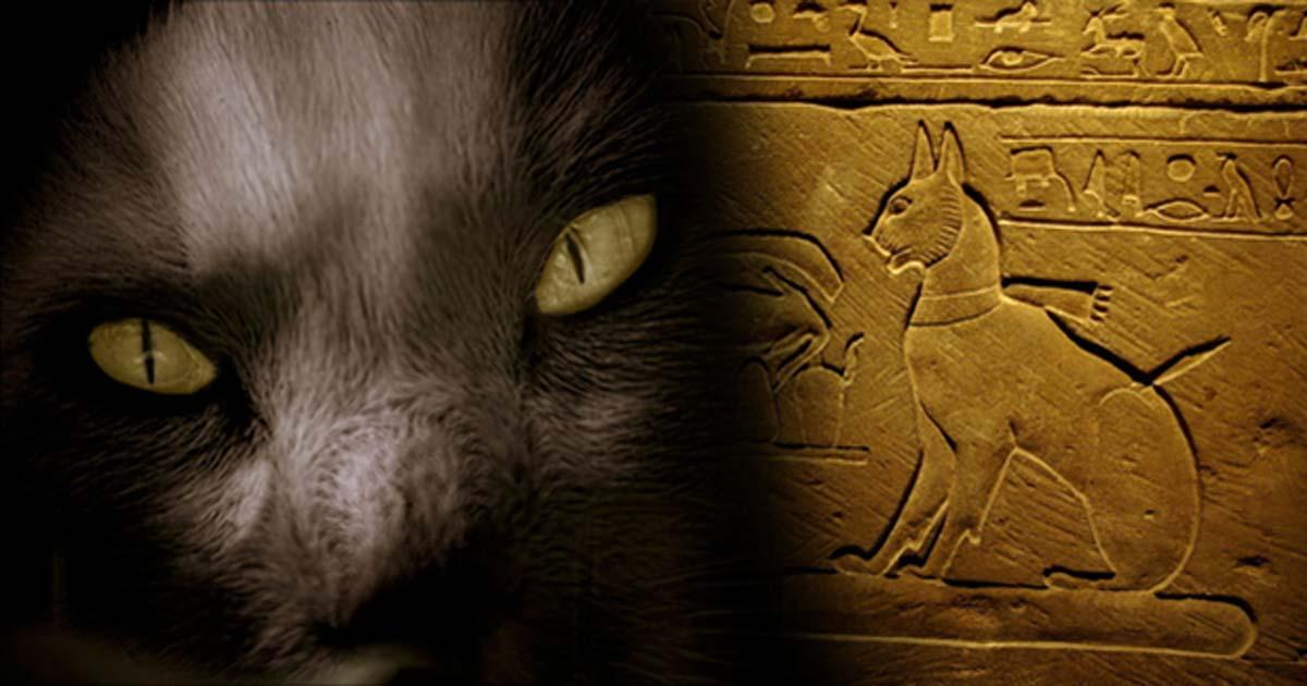 The Cat Came Back: A More Than Magical History – Part II | Ancient Origins