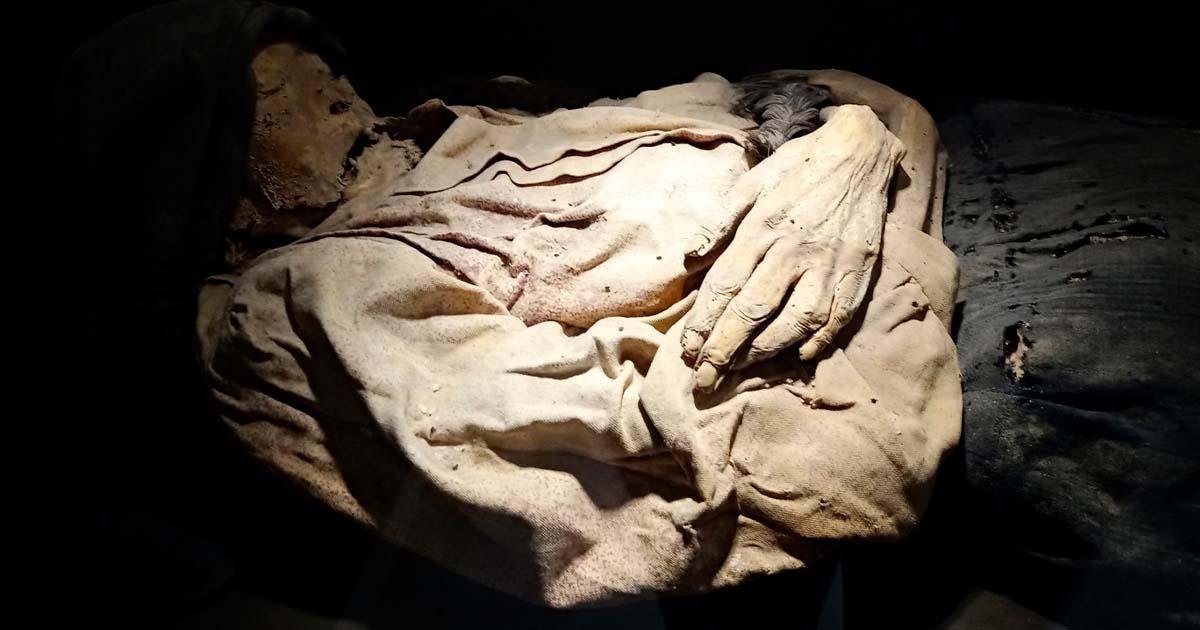 The mummy of a baby in the museum. (CC BY SA 4.0 )