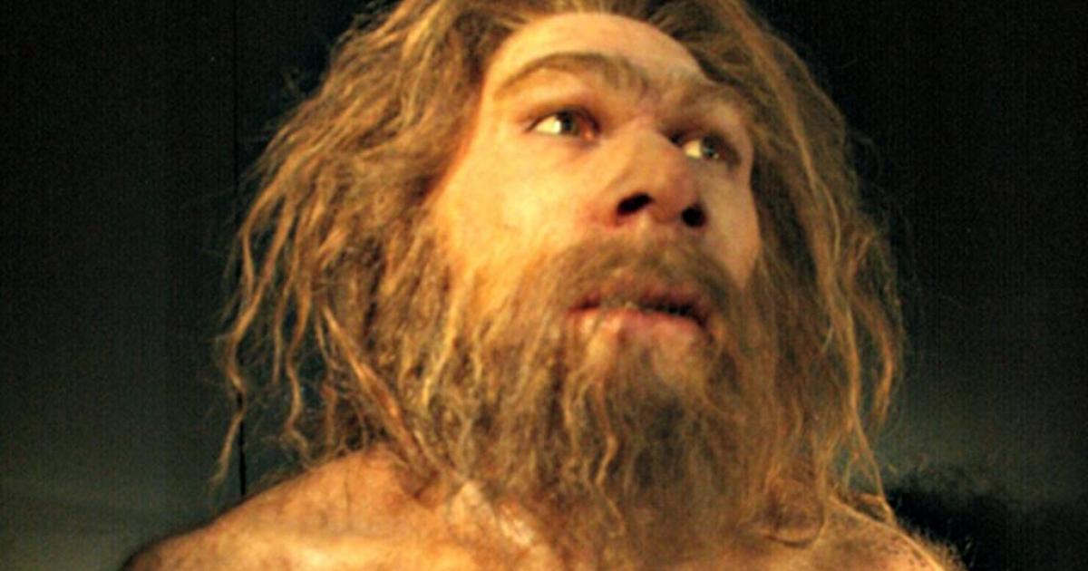 Confirmed: The Hominins Found at Atapuerca are the Earliest Genetic ...