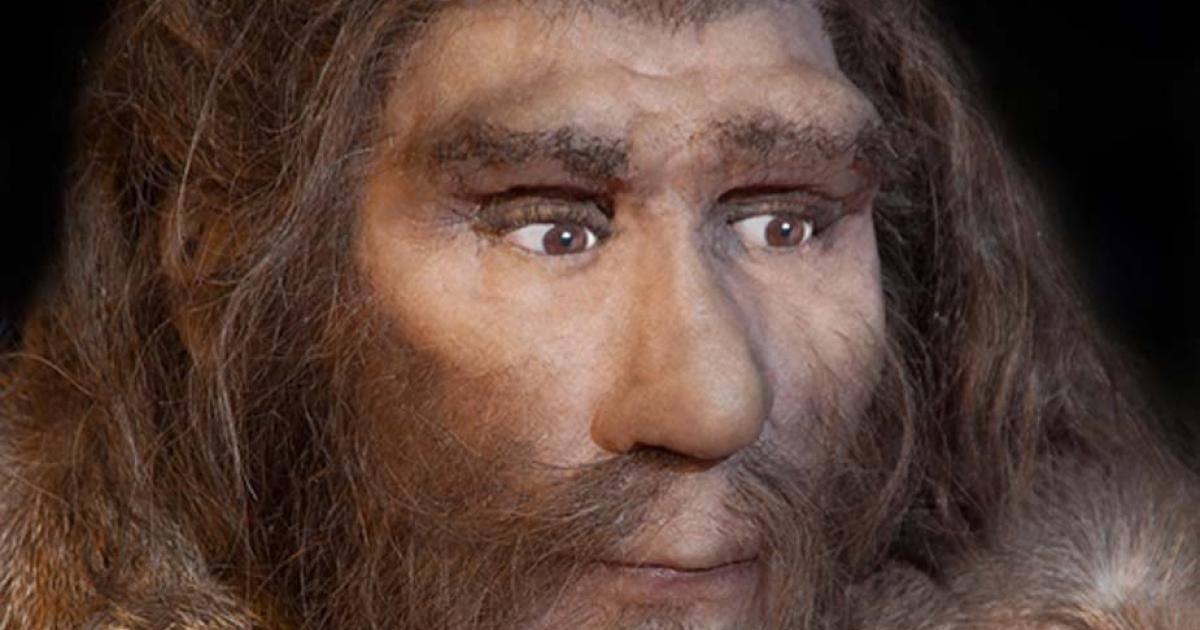 First Neanderthal Remains Discovered in Serbia Reveals Human Migration ...