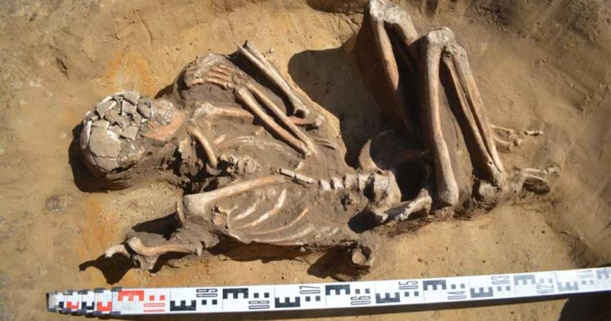 7,000-Year-Old Skeleton in Foetal Position Discovered in Poland | Ancient  Origins