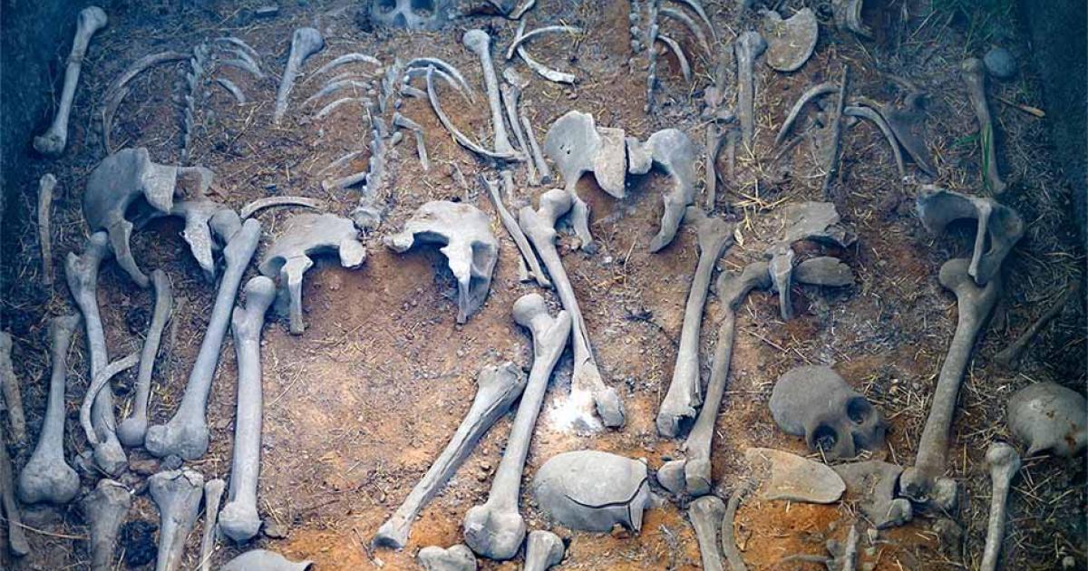 Sinister Secret of the Shang Dynasty: Its Penchant for Human Sacrifice |  Ancient Origins