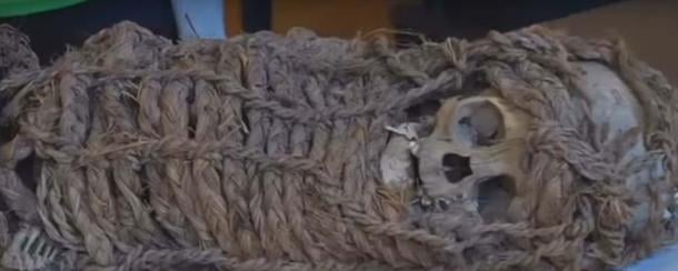 2,000-year-old mummy taken to Driscoll Children's Hospital for X-rays