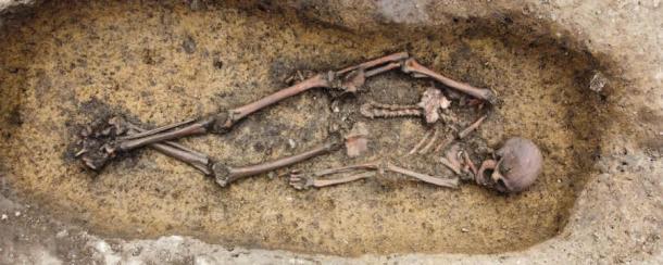 50 well-preserved skeletons have been exposed in the burial ground. (Museum Odense)