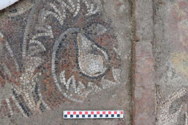 A section of the mosaic with a botanical motif. (Mehmet Nuri Ersoy)