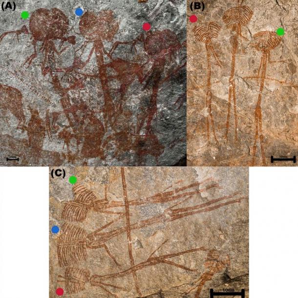 Comparison of the Amak'hee 4 (A), Kolo B2 (B) and Kolo B1 (C) trios.