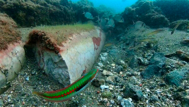 Among the submerged at Baiae, the archaeologists observed several intact marble columns. (Naumacos / Campi Flegrei Archaeological Park)