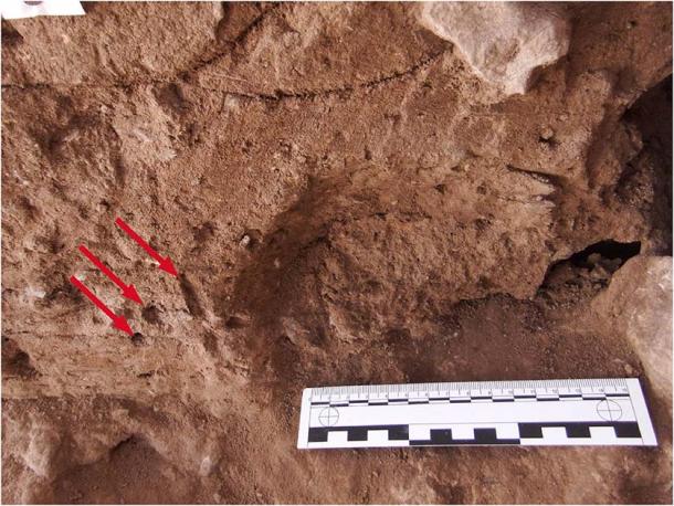 Ancient insect burrows (see arrows) in the trench wall at Shanidar Cave in Iraq, found within deposits found about 15 cm below the location of Shanidar Z and close to the level of recently discovered Neanderthal remains. (C.O. Hunt / CC BY 4.0)