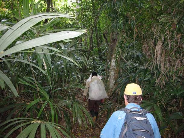 Archaeologists exploring the site’s surrounding area looking for the Teotihuacan replicas that were discovered by LiDAR scanning at the center of Maya Tikal in Guatemala. (C. Houston / Antiquity Publications Ltd)