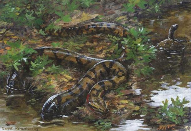 Artistic representation of Titanoboa. Source: tuomaskoivurinne/Deviant Art