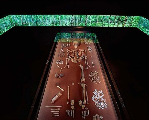 The Bad Dürrenberg shaman in the State Museum of Prehistory Halle (Saale). (Juraj Lipták / State Office for Heritage Management and Archaeology Saxony-Anhalt)