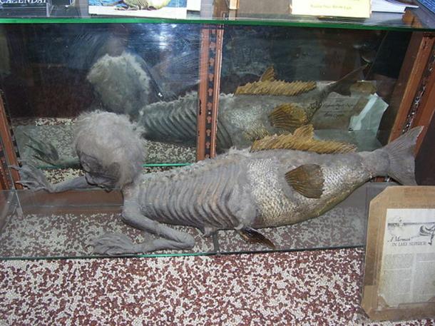 The Banff Merman, similar to a Fiji mermaid, on display at the Indian Trading Post. 