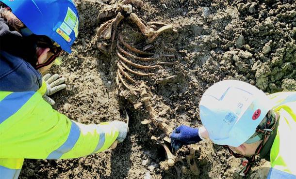 Besides evidence of a Roman vineyard, excavations uncovered the skeletal remains of sheep and pigs, providing insights into the Roman diet. (National Highways)