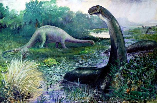 Illustration of Brontosaurus in the water, and Diplodocus on land.