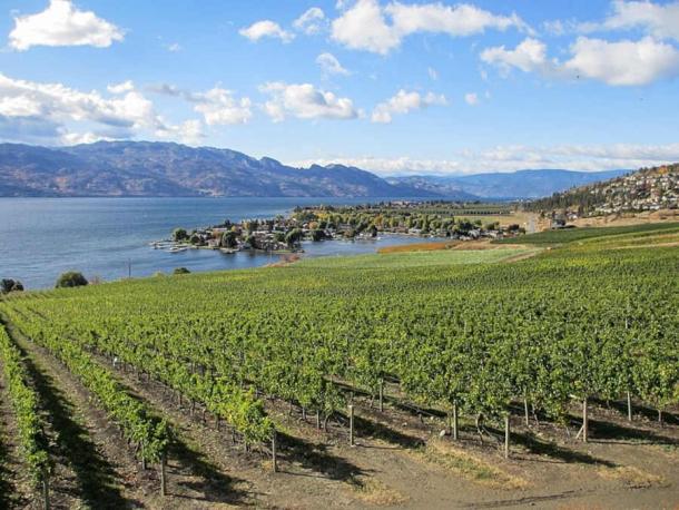 Canadian wine region of the Okanagan Valley in British Columbia. (Mack Male/CC BY-SA 2.0)