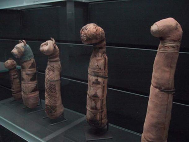 Mumii de pisici la Muzeul Luvru din Paris.  (Zubro / CC BY-SA 3.0)
