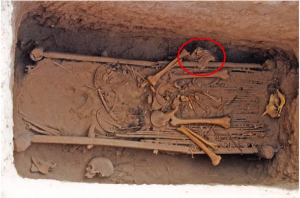 The Chinese IIM127 Yanghai tomb with the position of the leather armor remnant indicated by the red circle. (Turfan Administration of Cultural Relics / Quaternary International)