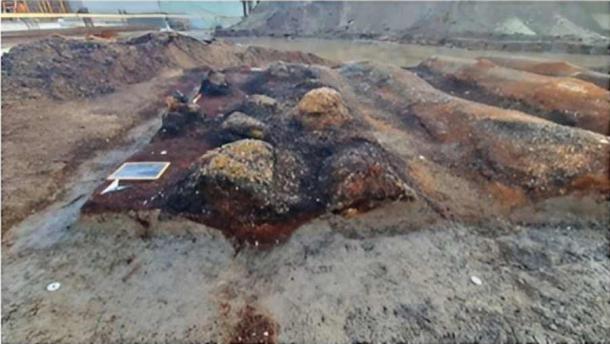 Clearly plowed fields with vegetables under the ashes of the eruption of Vesuvius