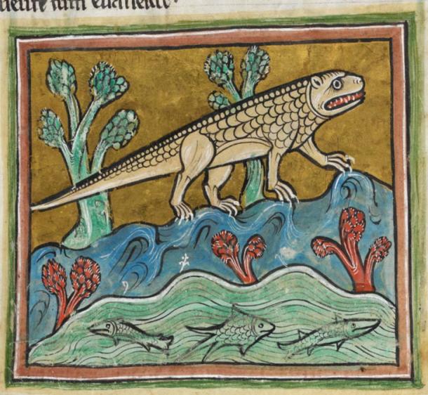 Crocodile in the Medieval Bestiary Rochester. 