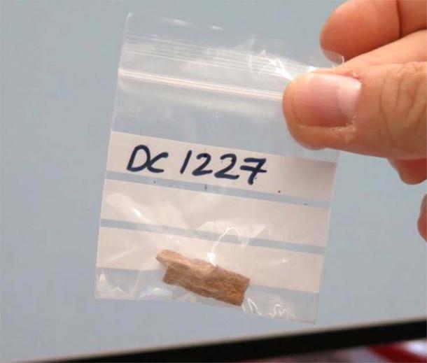 Denisova II (Denny) bone fragment discovered at Denisova Cave in Russia, which provides evidence of interbreeding between Denisovans and Neanderthals. (Katerina Douka & Tom Higham/ Science)