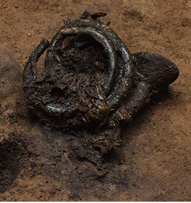 Detail photograph showing organic plant binding intertwined with the artifacts. (GUARD Archaeology)