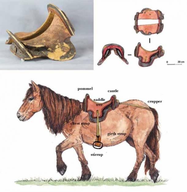 Diagram of how the saddle would fit on a horse when complete. (P. Lopez Calle/Antiquity Publications Ltd)