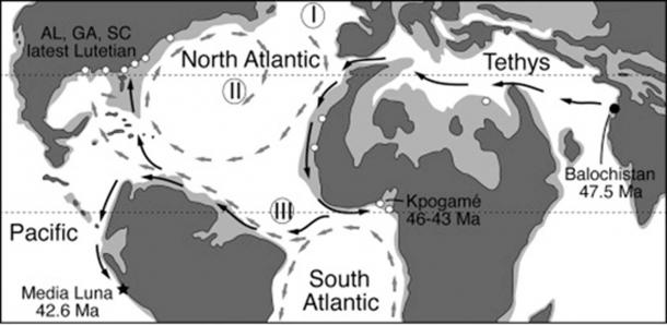 Distribution of protocol whales during the middle Eocene, period of the ancient whale. (G. Bianucci / Cell Press / Fair Use)