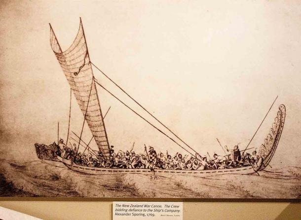 A 1769 drawing of a Maori war canoe fitted with a single sail, which was likely the exact type of boat that the Maoris used when they sailed south and discovered Antarctica nearly 1,200 years before Western European explorers. (British Museum / Public domain)