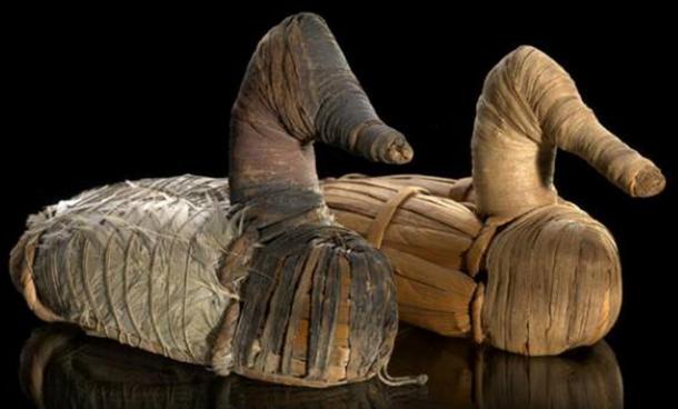 Le foto sono alcuni Duck Decoys, circa 400 BC - AD 100, sono in mostra al National Museum of the American Indian dello Smithsonian Institute.