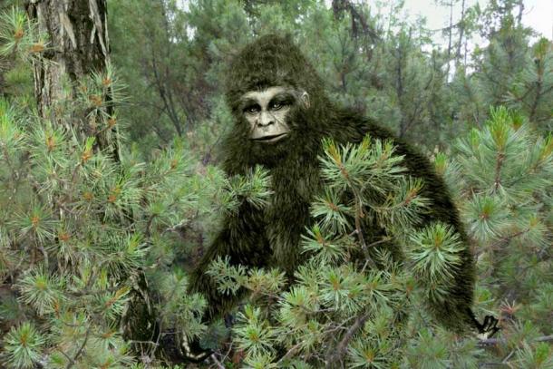 During this so-called Yowie sighting, three men claim they saw a hairy ape-like creature. (slaw1949 / Adobe Stock)