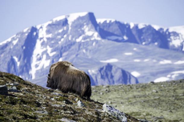 The climate of the Earth would be much colder today without the effects of ancient agriculture. (Image: © trattieritratti / Fotolia)