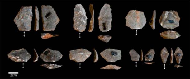 Examples of sharp-edged flakes produced unintentionally by long-tailed macaques. (© Proffitt et al, 2023/Science)