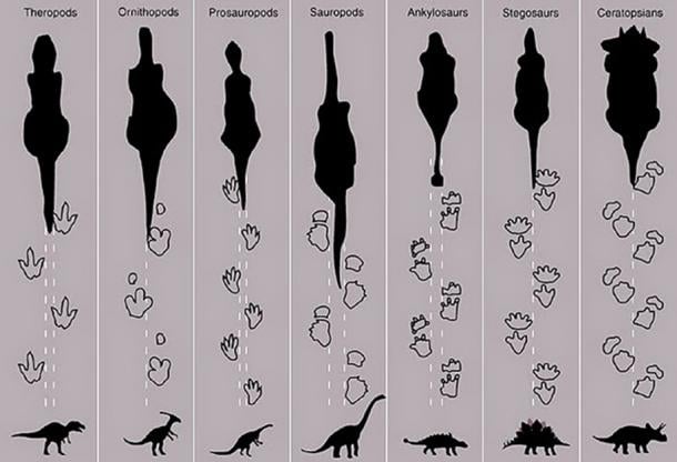 Footprints of some of the dinosaurs found at Cal Orcko.