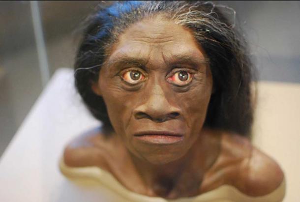 Humans Wiped Out The Hobbit: New Study Suggests Homo Sapiens Caused ...