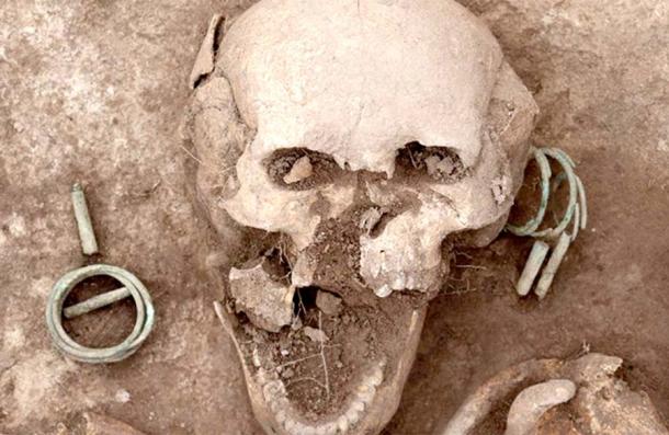 The elite Karasuk woman has been dubbed the Siberian Lady of the Rings. This closeup of her skull shows the big earrings, which were part of her funeral jewelry. (Novosibirsk Institute of Archeology and Ethnography)