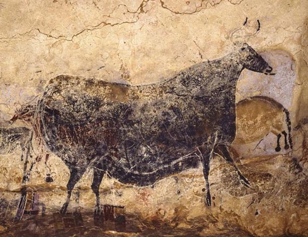 Famous Lascaux Rock Art Of France Comes To Africa In Ultra