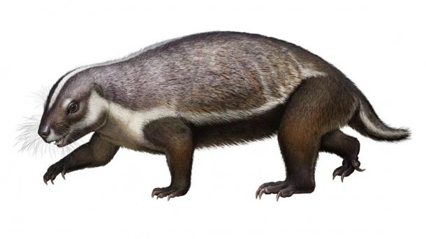 Life-like reconstruction of Adalatherium hui (‘crazy beast’), a new gondwanatherian mammal from the Late Cretaceous of Madagascar. (Andrey Atuchin / Denver Museum of Nature & Science)