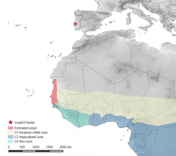 Map showing location of Stone Age burial site in Portugal, and the estimated area of origin in West Africa of the African remains unearthed there.(Petroteo-Stjerna et. al. / CC BY 4.0)