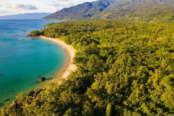 Masoala National Park in modern Madagascar. (Challenge / Adobe stock)