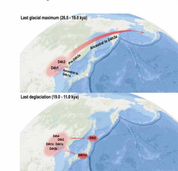 Maternal ancestry from Chinese and Japanese lineages (D4h1a and D4h2) was traced in the study, showing Paleolithic archaeological similarities among Northern China, the Americas, and Japan. (Cell Reports)