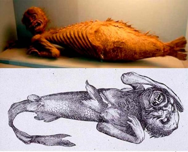 [Top] Fiji Mermaid, in the Folklore section at the Haus der Natur (House of Nature), a natural history collection in Salzburg, Austria. (CC BY NC SA 2.0) [Bottom] P. T. Barnum’s Fiji mermaid. (Public domain)