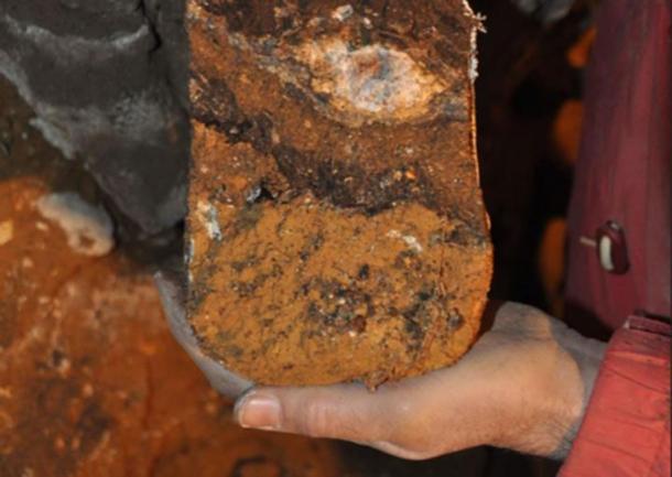 Microscopic studies of sediments left in the cave include fossil feces left by predatory animals such as hyenas and wolves. (Dr. Mike Morley, Flinders University)