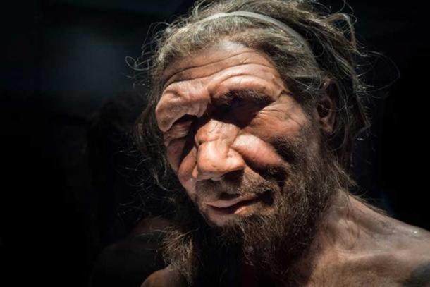 Research Confirms that Neanderthal DNA Makes Up About 20% of the Modern ...